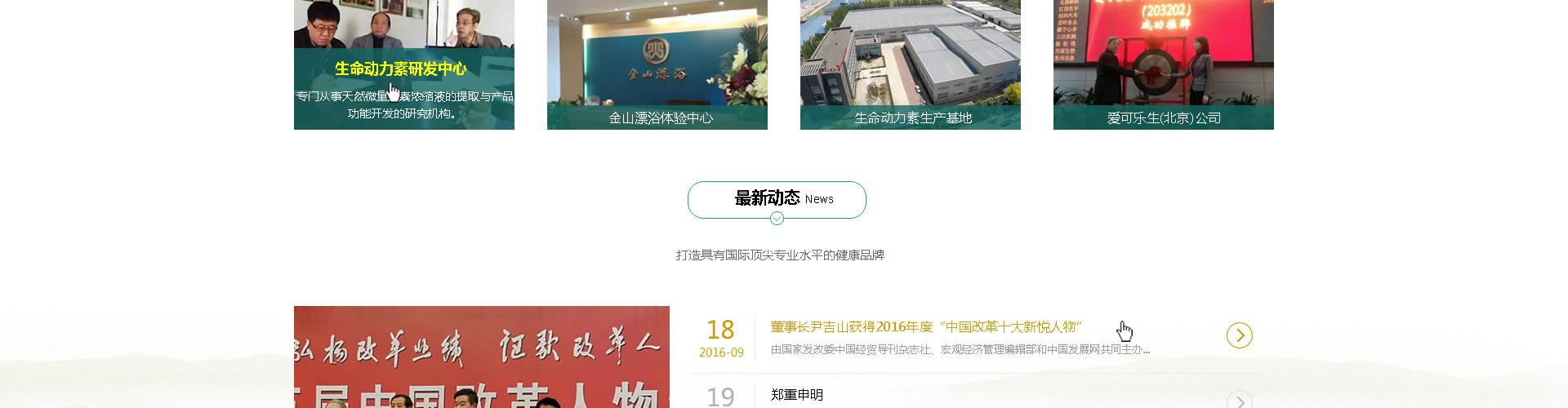 绵阳网站建设、网页设计案例展示-金山生态