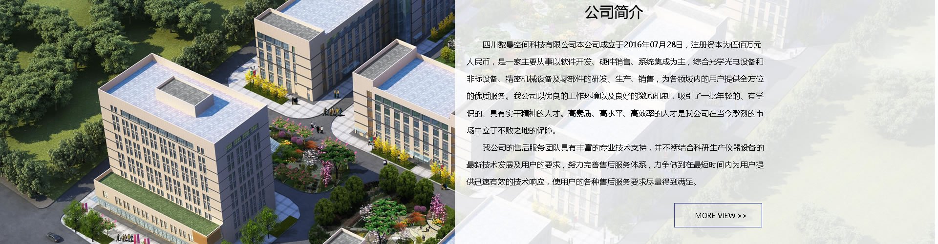 绵阳网站建设、网页设计案例展示-黎曼空间